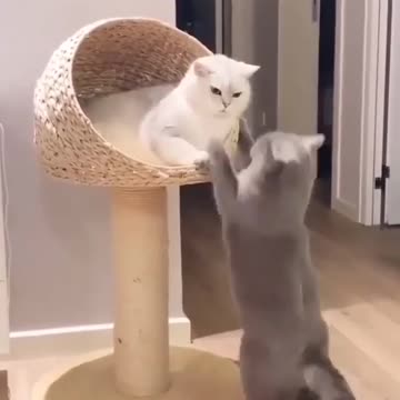 I love toi baby 😘