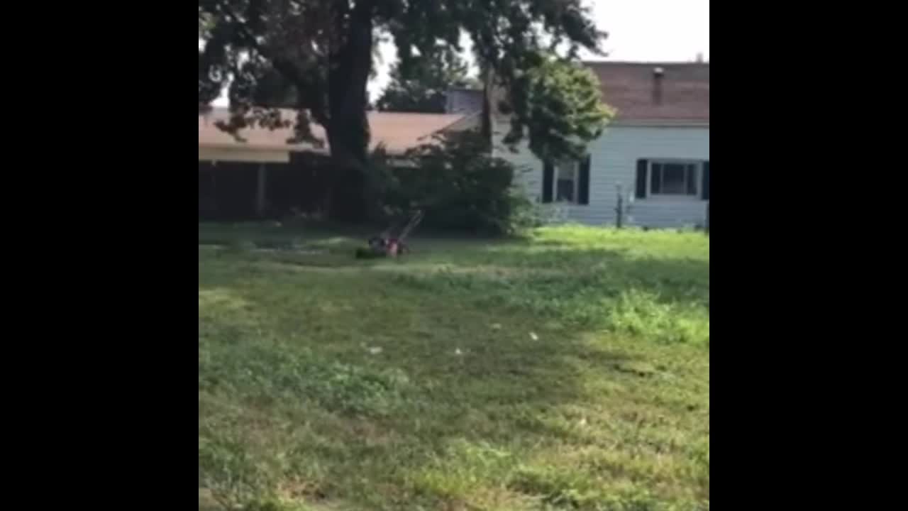 This is how I mow my lawn in the summer