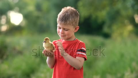 El niño y el pato