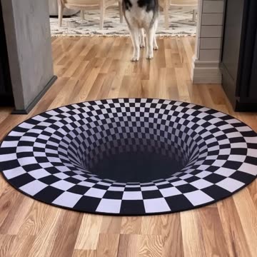 Dogs funny reaction to entering optical illusion rug!