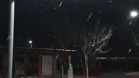 snowy night on a winter