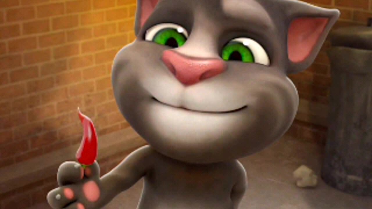 😺 funny video