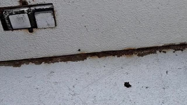 Stormor EZDry repair