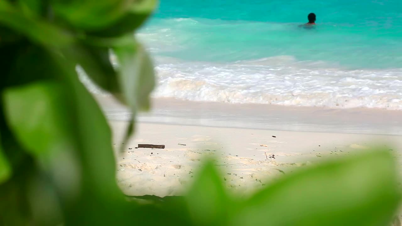 Tropical beach in the background