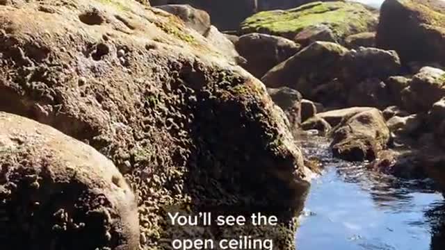 Located in Sunset CliffsGoogle: open ceilingsea cave
