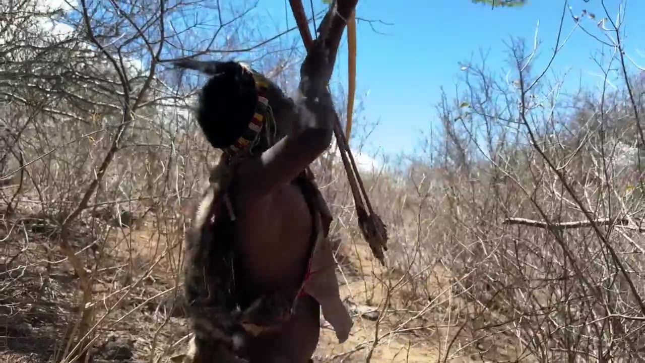Affarican life