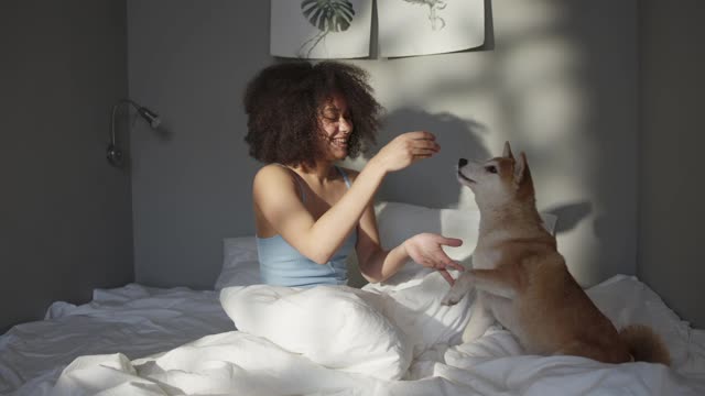 Cute dog on bed