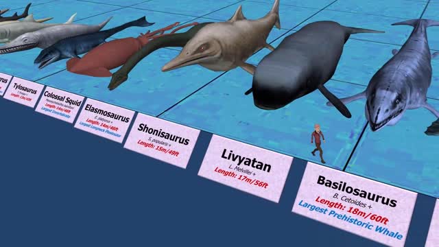 Sea Monsters Size Comparison