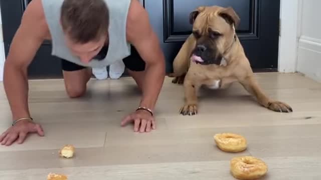 These animals will 😂 make you laugh for rest of your life