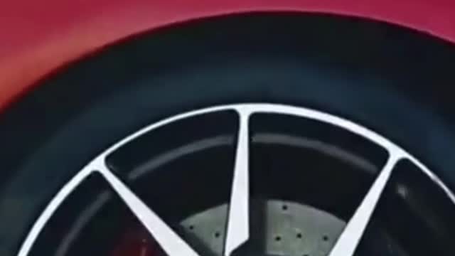 Luxury Car The dog shows you the sportscar #car #supercar #luxurycar #bmw #lamborghini #benz
