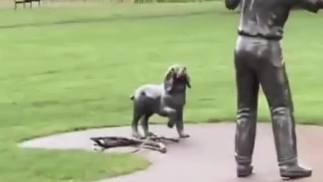 Dog Waiting For The Statue To Throw The Ball #dogs #funny #cats #cute