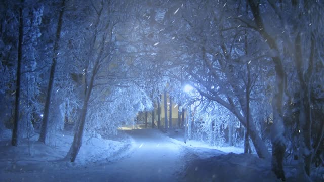 Wonderful winter evening and the sound of a blizzard