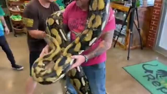 FUNNY AND CUTE ANIMALS 🐍⚕️