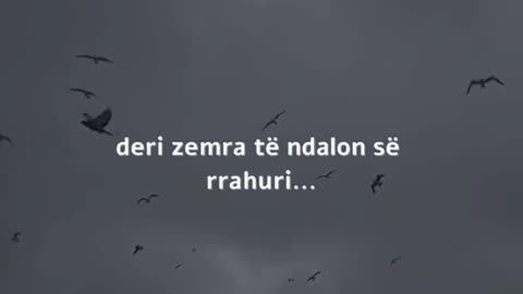 zemra te ndalon se rrahuri....