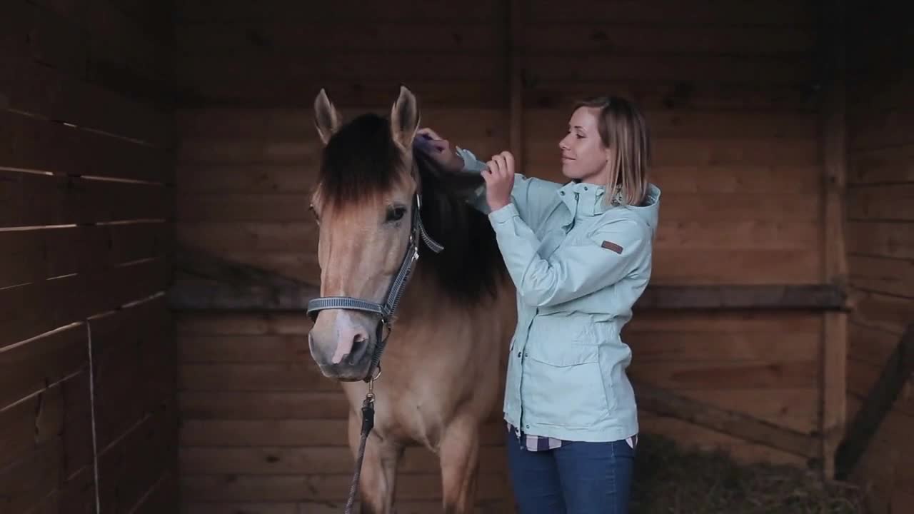 A female rider combs the mane of a horse in the barn