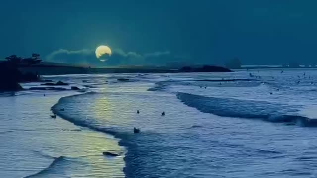 山野万里，你是藏在月光中的浪漫 Thousands of miles away, you are the romance hidden in the moonlight