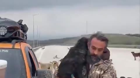 Man takes care of dozens of stray dogs providing food and shelter