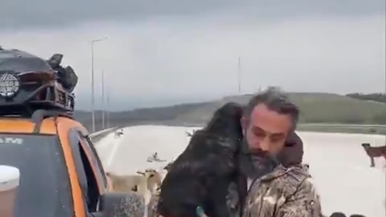 Man takes care of dozens of stray dogs providing food and shelter