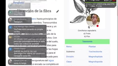 BioHacking 31 CONTRAMEDIDA Descarga inmediata con Yute demostración técnica