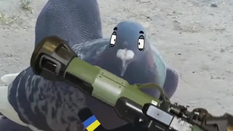 Hanging Out with Ukrainian Camando Birds