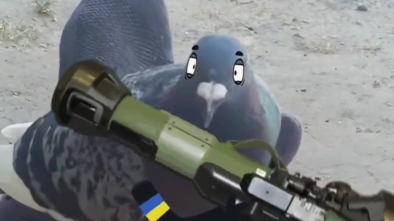 Hanging Out with Ukrainian Camando Birds