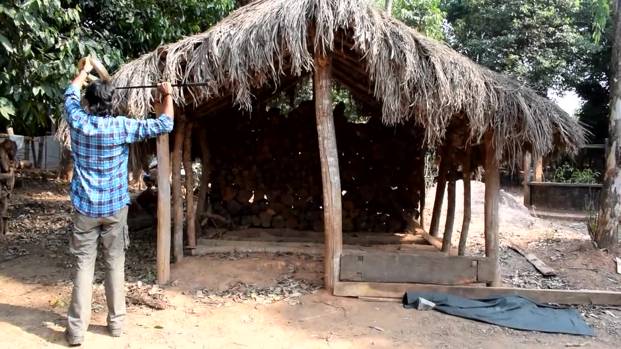 King cobra rescue operation - Nijagoru Thirthahalli Shimoga district KA