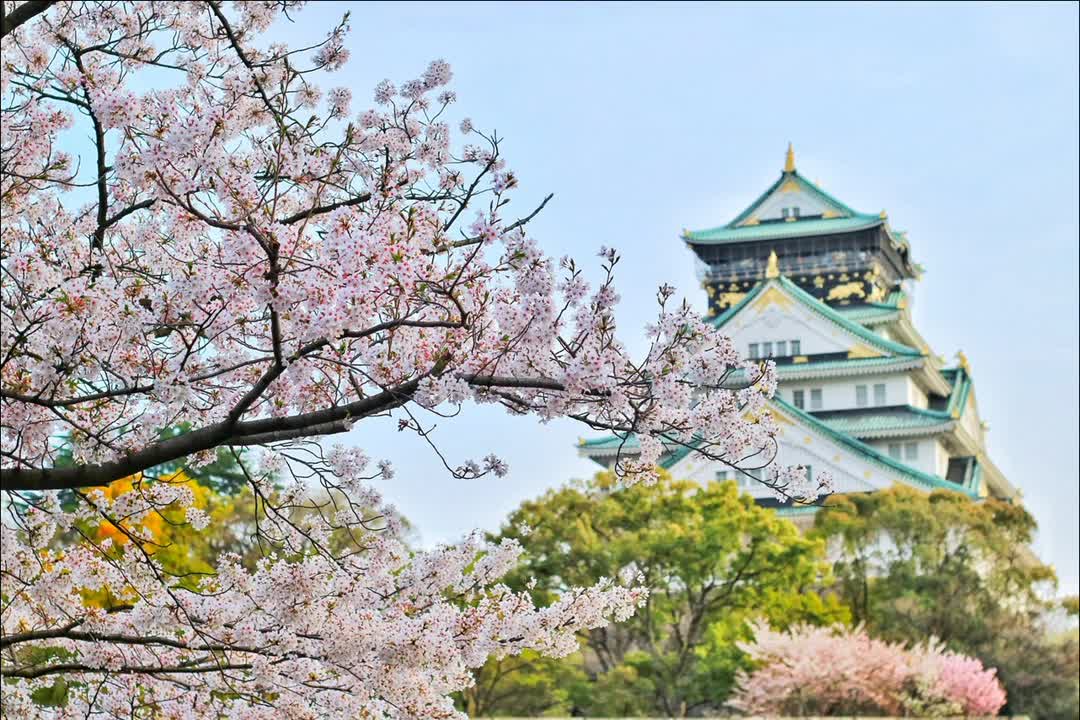 Sketches of spring. The beauty of nature.