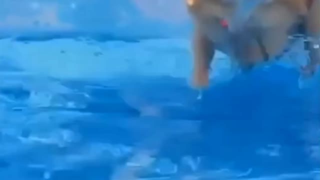 Dog Swimming tutorial