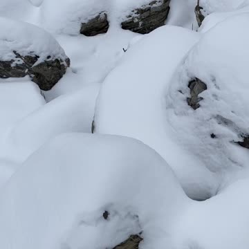 Where do I step!? Hmmmm