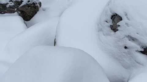 Where do I step!? Hmmmm