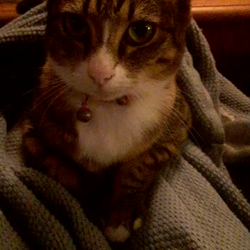 Give Me Some Blanket