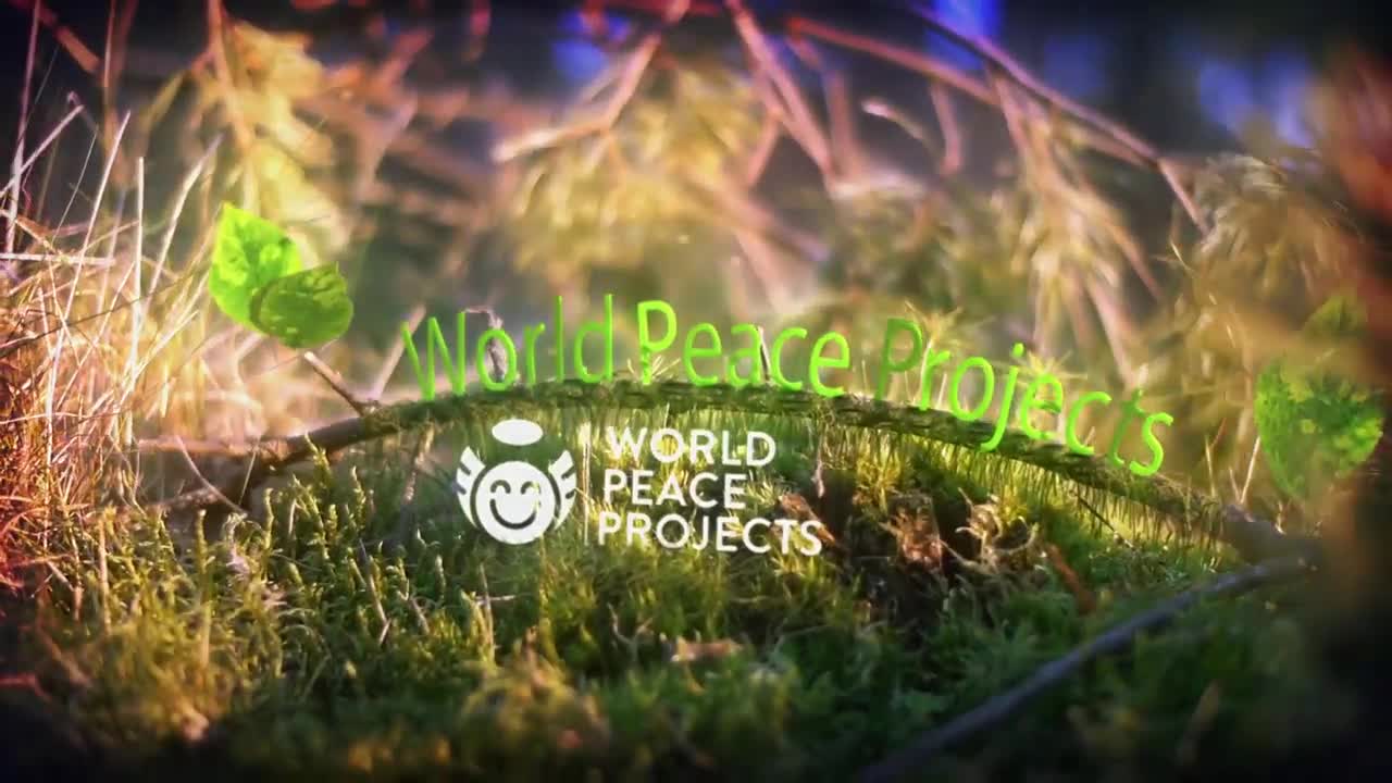 The Biology of False Thoughts. How To Protect Your Mind. Catalyst Podcast With Chanelle O'Hare