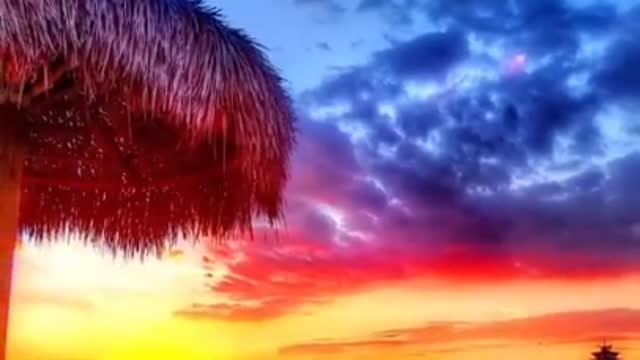 Wonderful view😍 with osm🎶//NATURE beauty