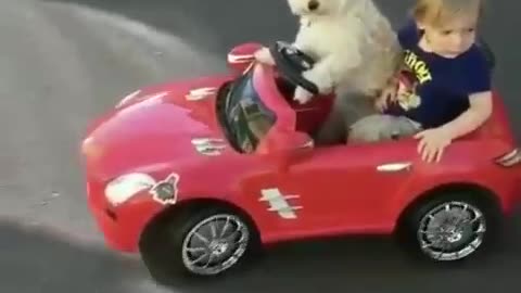 Let's buy some doughnuts, buddy.