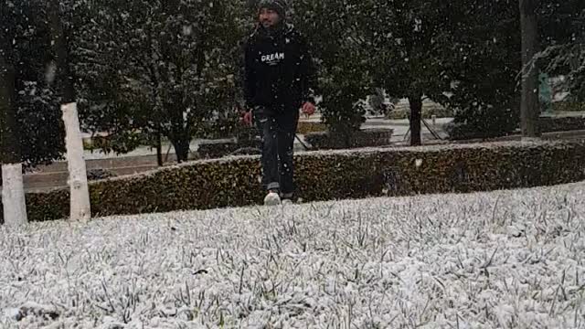 Best Snowfall video