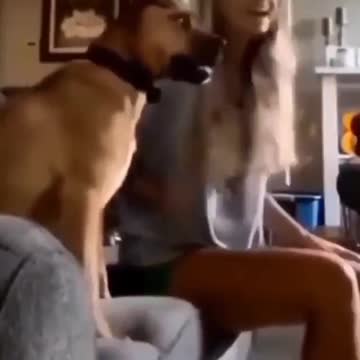 Watching Trump Winning the Debates!