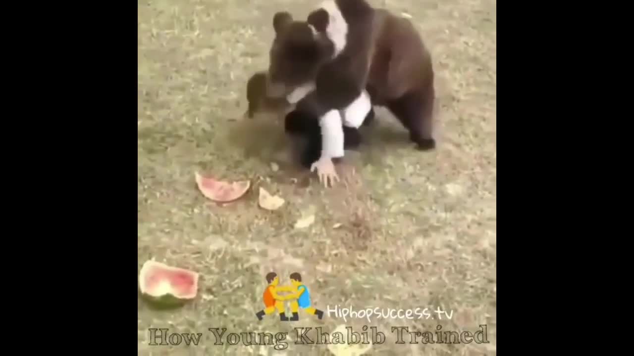 Funny animals video