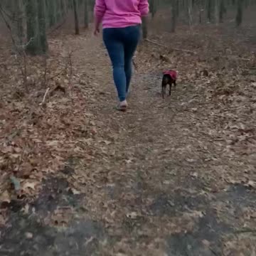 BRING YOUR DOG TO WORK?