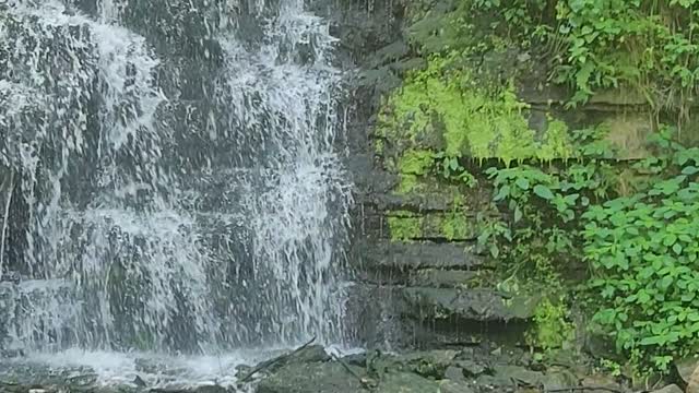 Cove Spring Park