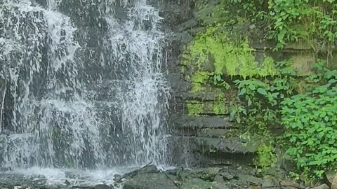 Cove Spring Park