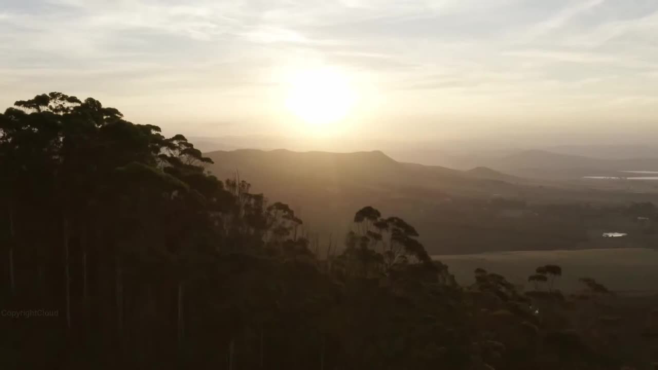 Captivating Music Enhancing Natural Beauty