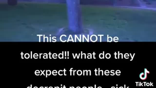 They hide in disguise as a victim group