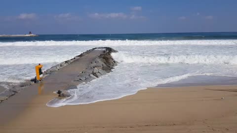 Tranquil sea landscape