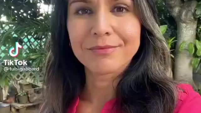 Tulsi Gabbard telling the truth