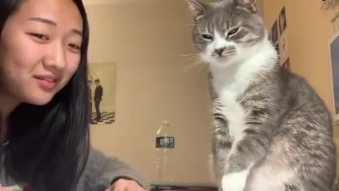 Girl's cat smacks her in the face when she tried to talk to him.