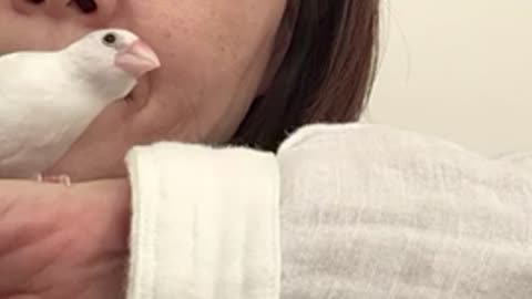 「くーは、ここにいるよ」③