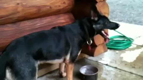 Fiona Maniac