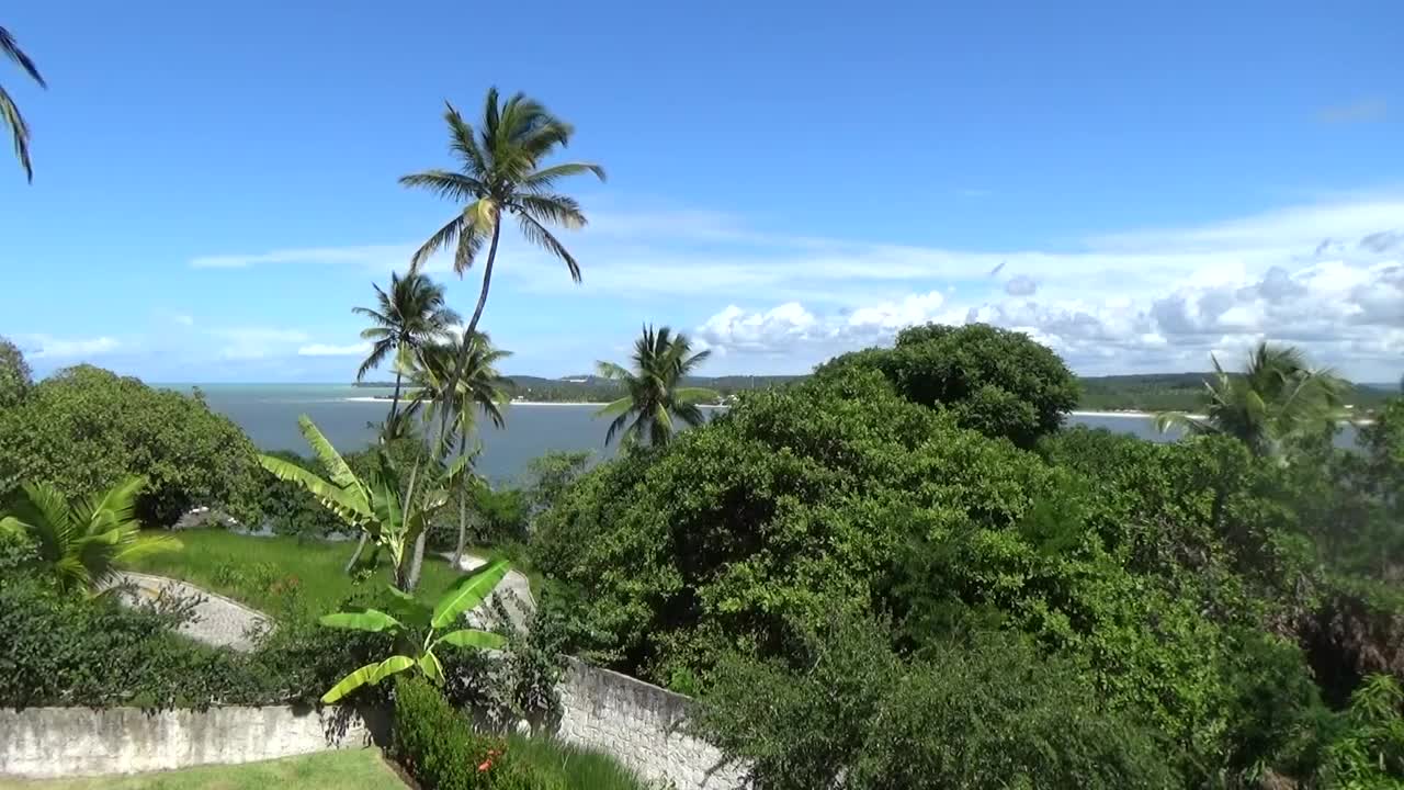 Som do Mar e Sons da Floresta Dormir e Meditar Natureza Relaxante