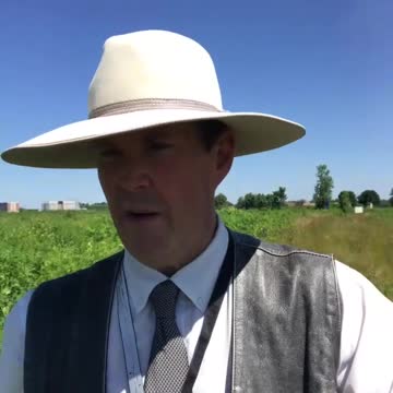 Let Democrats Show How Bad They Are