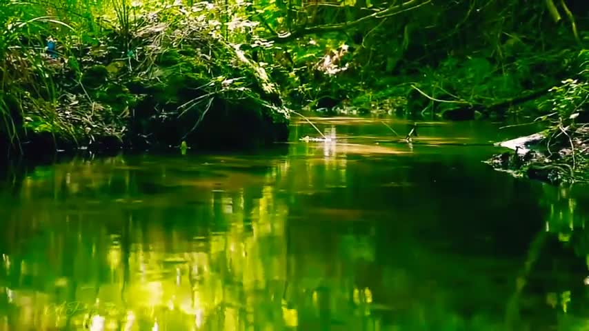 Nature status | KERALA.